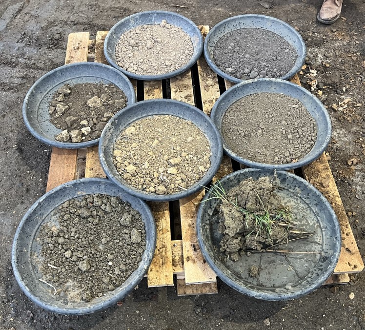 Bowls containing different soil types
